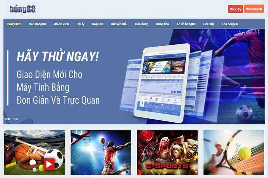Dịch vụ chăm sóc khách hàng của Kv99 có hỗ trợ 24/7/24 không? - Kv99