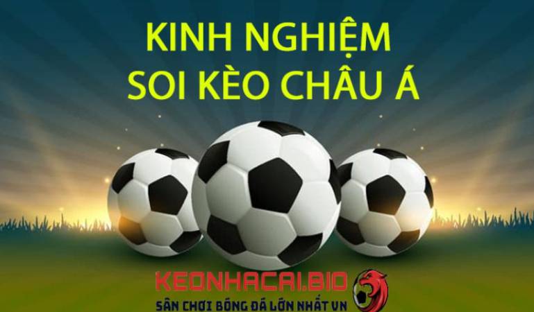 Các sản phẩm chính của St666 - St666