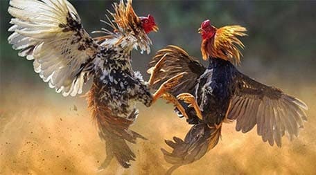 Tổng quan về các hoạt động quảng bá phổ biến nhất của Ta88 - Ta88