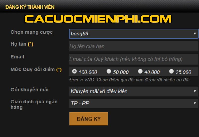 Dưới đây là một số điều bạn nên biết trước khi đăng ký Zalv - Zalv