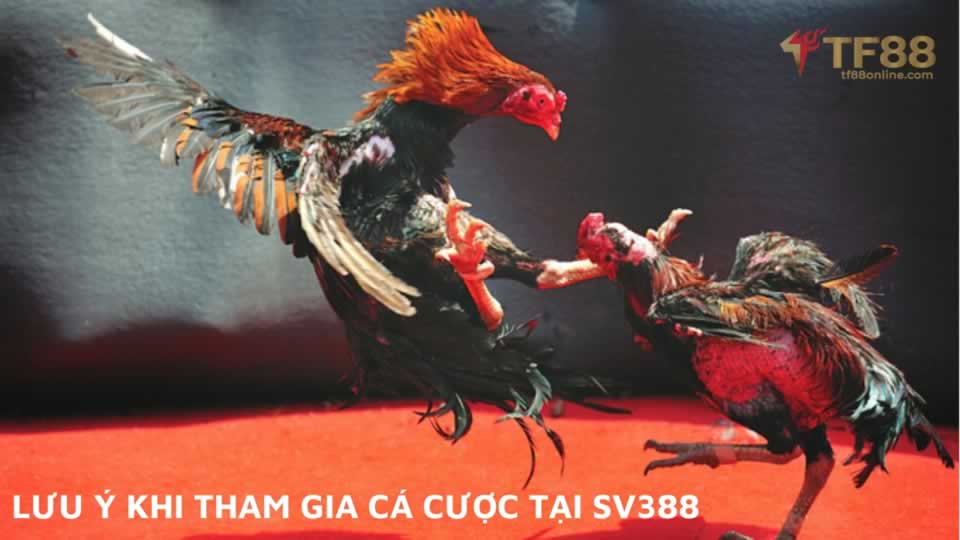 Chính sách bảo mật VIP King33 - King33