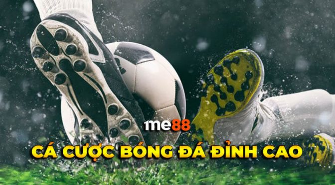 Một nền tảng trực tuyến hoàn chỉnh đạt chuẩn Sc88, bao gồm cả các trò chơi nhiều người chơi - Sc88