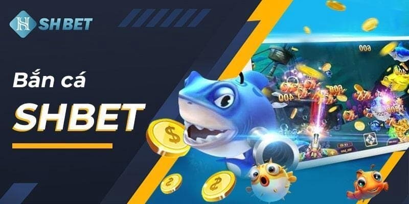 Cách chơi các trò chơi thể thao cấp độ Win55 - Win55