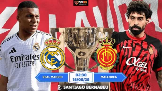 Tổng quan về lợi nhuận của người chơi cá cược cấp Betway - Betway