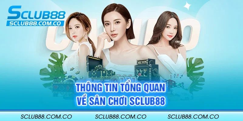 Hướng dẫn cách tải ứng dụng Win55 hiệu quả trên điện thoại Android/iOS - Win55