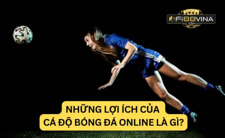 Dv88 tổ chức nhiều sự kiện quảng bá chọi gà vô cùng hấp dẫn - Dv88